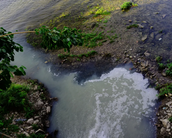 西雙版納知道“急”了