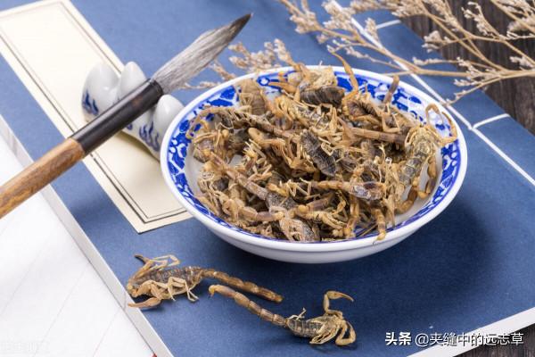 肩周炎，活動受限？送你四味中藥，祛頑痰，通經絡，快來了解下吧