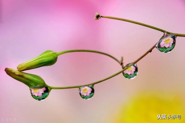 不要用你的愛，堵住了孩子所有的未來，你需要做的只有放手