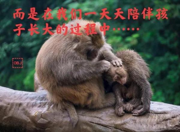 陪伴孩子長大的每一天 陪伴孩子長大的每一天