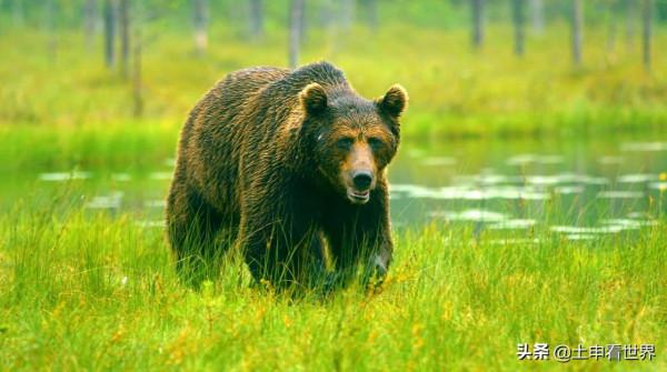 俄羅斯必遊景點，你去過幾個？