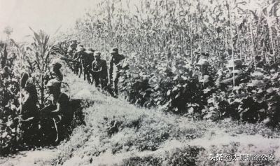 1941：劍犁並鑄度劫波——中國共產黨勇擊內外濁流的戰略抉擇