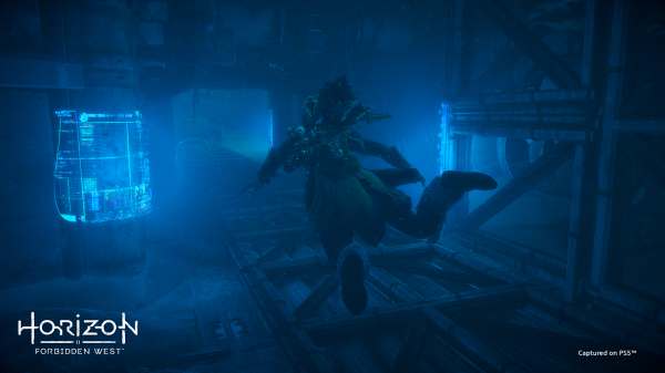 《地平線西之絕境》評測：PS5遲到的護航大作