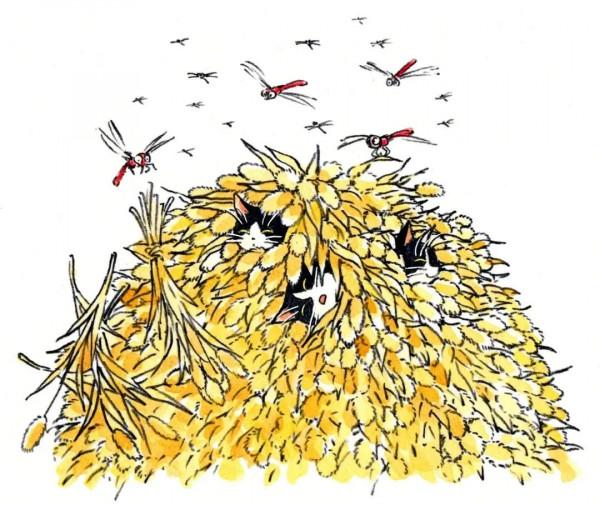 貓貓的一天，煮飯釣魚還有種菜？