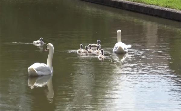 52歲的他放棄一切，住進33㎡“房船”中漂泊流浪，一晃已生活5年