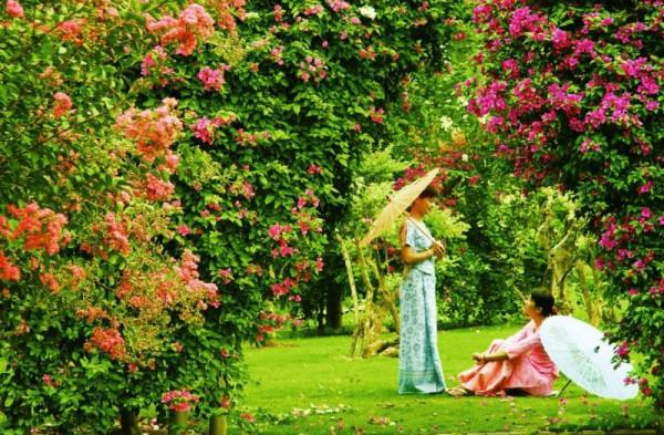 七夕 | 來自七彩雲南的一封情書 七夕 | 來自七彩雲南的一封情書