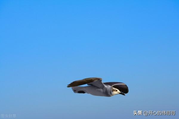 那時花開｜女人一生中至少要哭兩次，生孩子只是其中之一