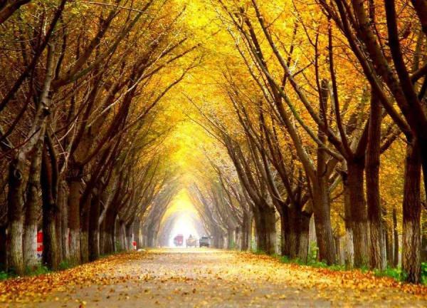 大道至簡（隨筆）