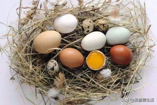 建議中老年人，為自己的身體考慮，多吃8類食物，美味營養易消化