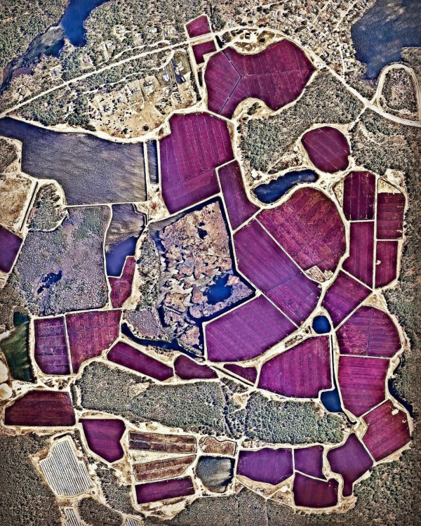 換個角度看世界，我們的認知被顛覆了