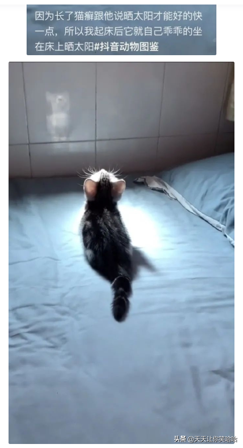 神回覆：這個人把奧特曼綁架了，贖金20塊錢！我該怎麼辦？