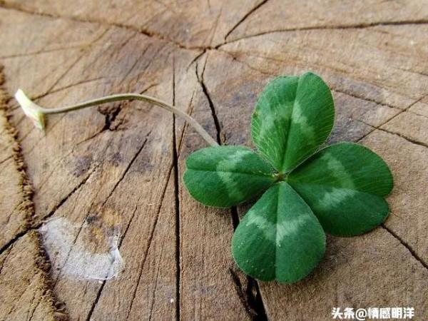 你知道人的好運是怎麼來的嗎？