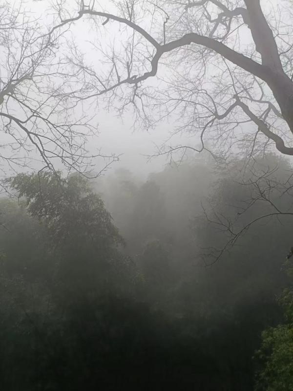 深山的美麗風景