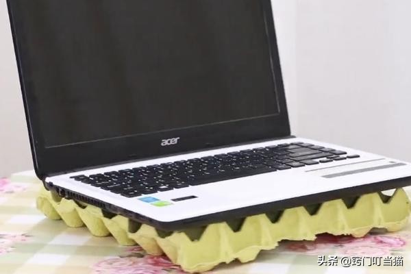 賣廢品時,雞蛋托盤一定要留下,改造後放陽臺上,全家人都誇好 賣廢品時,雞蛋托盤一定要留下,改造後放陽臺上,全家人都誇好