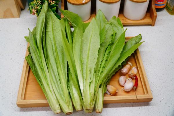 開春了，記得多吃油麥菜，每週堅持吃幾次，很多人還不知道有啥用