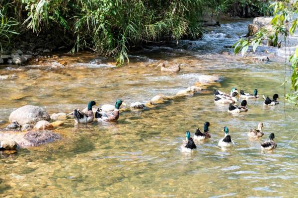 這裡是我國三大名泉之一,風景清淨幽美,有山情野趣的韻味 這裡是我國三大名泉之一,風景清淨幽美,有山情野趣的韻味