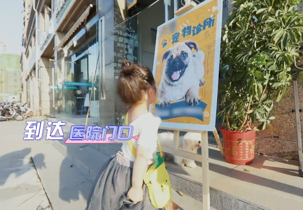 《我的小尾巴》王睿涵,聶澤寧,鄧澤鳴,池憶四組兄妹,合作挑戰 《我的小尾巴》王睿涵,聶澤寧,鄧澤鳴,池憶四組兄妹,合作挑戰