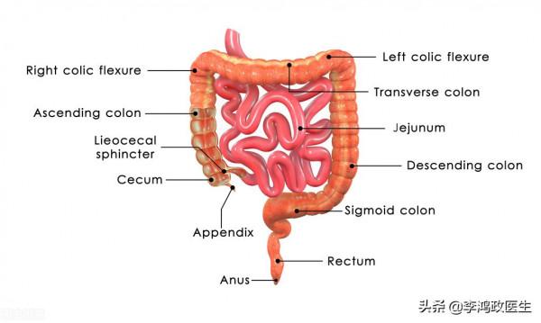 女子頭暈半年,以為患癌症,檢查結果讓她覺得重獲新生 女子頭暈半年,以為患癌症,檢查結果讓她覺得重獲新生
