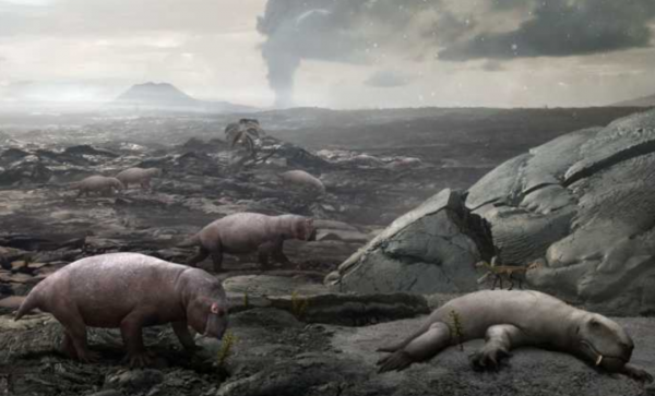 地球霸主恐龍為何會滅絕？專家分析墨西哥巖芯樣本，解開謎團