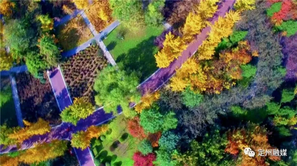 這樣的定州,也太美了吧 這樣的定州,也太美了吧