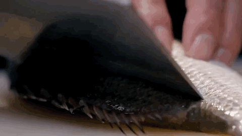 有多少過期肉，被你買回家了？