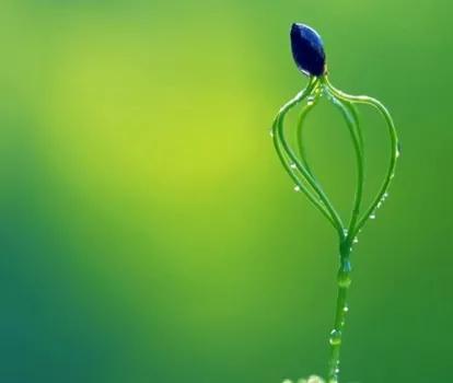 每日閱讀唯美詩詞