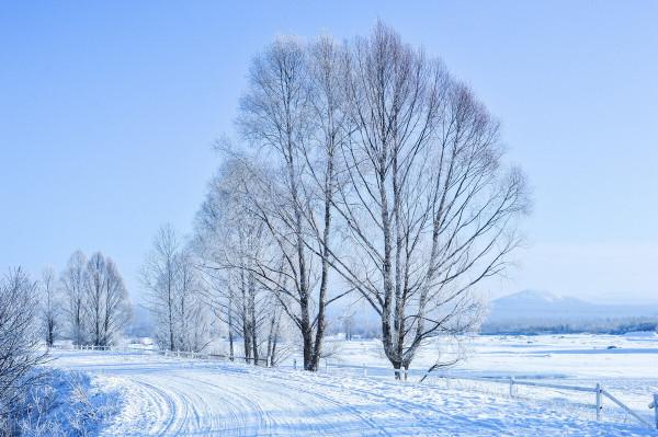 冬季養生應該怎麼吃？常吃這7物，可以為健康加分