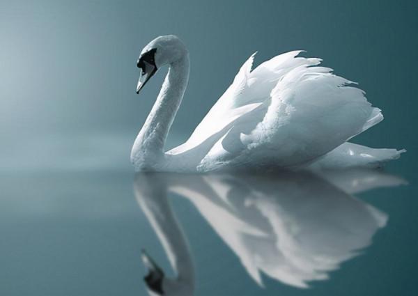 孫儷穿高定被說像裹了張床單：穿衣不懂這2點，就算明星也踩雷