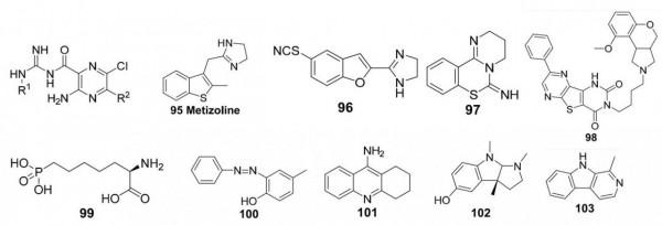 藥物發現│抑制AlkB核酸脫甲基酶:表觀遺傳新靶點 藥物發現│抑制AlkB核酸脫甲基酶:表觀遺傳新靶點