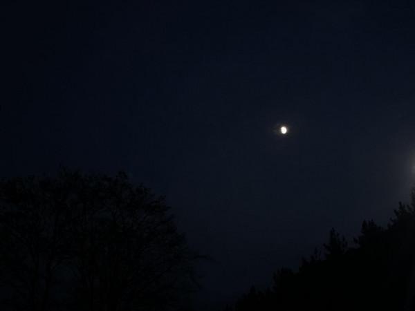 中秋|月黑風高夜,摸秋正當時 中秋|月黑風高夜,摸秋正當時