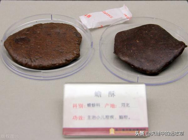 冬至將至，送你一劑麝香保心丸，給你的心血管保駕護航