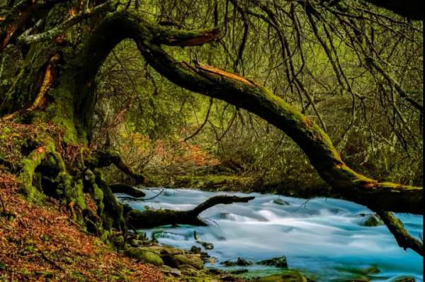 「虹橋溝」養在深閨的川西童話 「虹橋溝」養在深閨的川西童話
