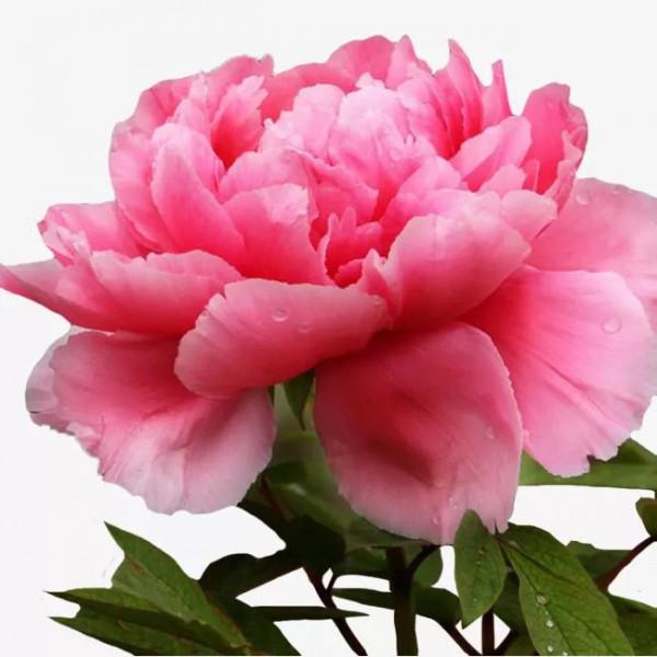 唐詩共賞（一）