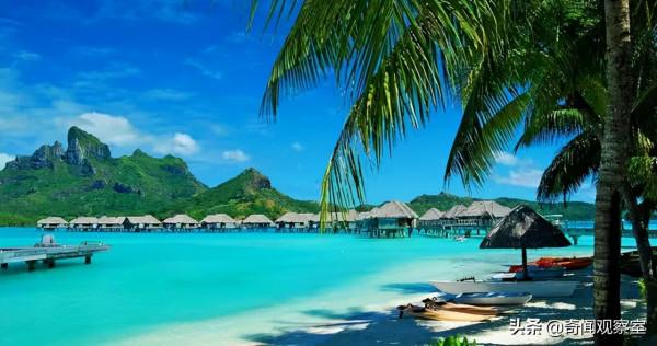 日本“神算女”算天算地,沒算到自己的死期,李昌鈺破案系列 日本“神算女”算天算地,沒算到自己的死期,李昌鈺破案系列