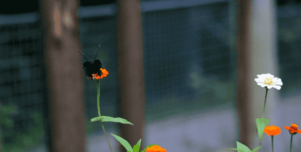 逃離城市！四川最美的10個神仙村落，第一個就心動了