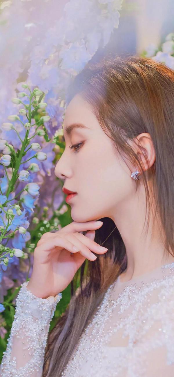 明星桌布｜劉詩詩｜039