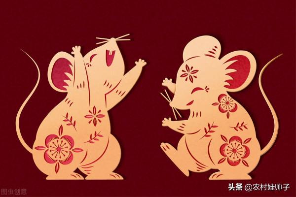 屬鼠2022年1月運勢