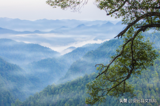 江西這個98%森林覆蓋率的“天然氧吧”,年均氣溫15.1℃,雲端之上的絕美林海超治癒! 江西這個98%森林覆蓋率的“天然氧吧”,年均氣溫15.1℃,雲端之上的絕美林海超治癒!