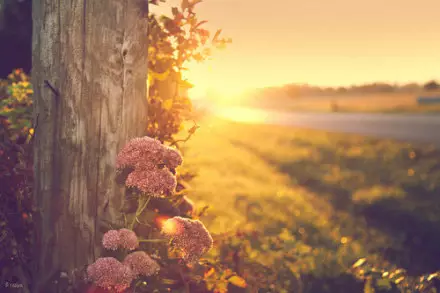 當孩子遇到問題的時候....家長如何應對孩子的情緒？