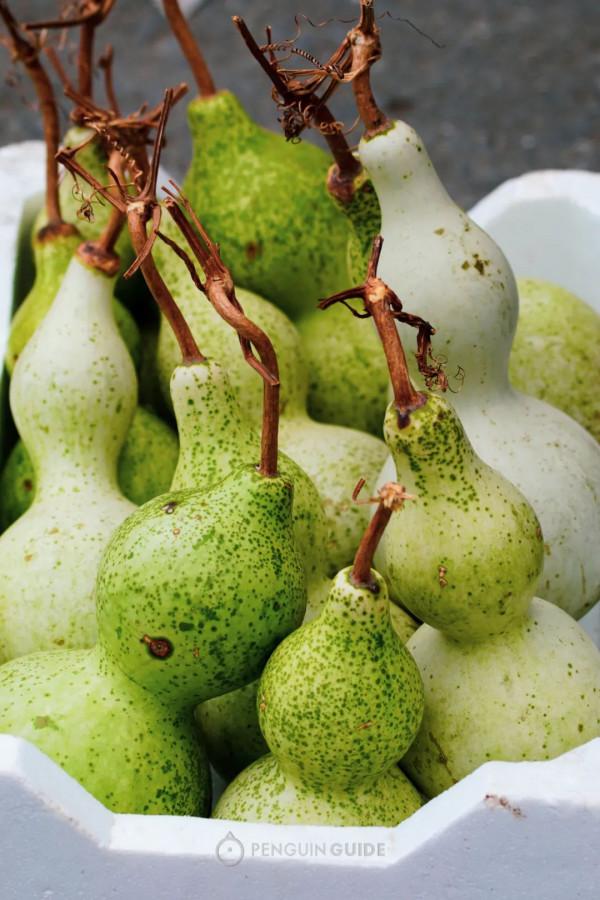 全國秋天神仙菜市場大賞 全國秋天神仙菜市場大賞