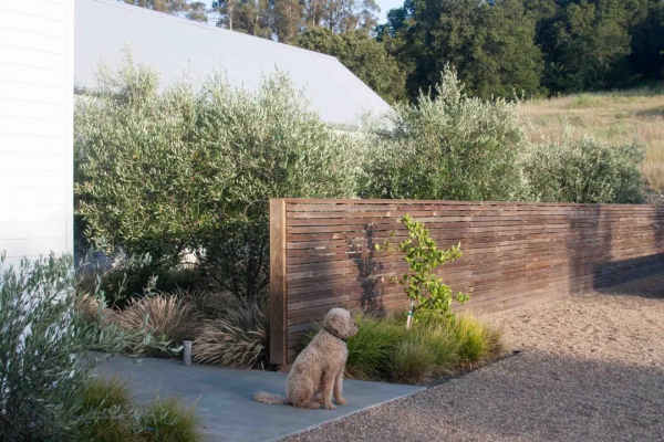 花園入戶區正確開啟方式來襲,歸家的美好從這裡開啟 花園入戶區正確開啟方式來襲,歸家的美好從這裡開啟