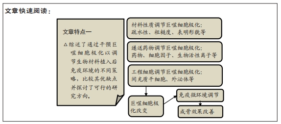 巨噬細胞極化在骨組織工程免疫研究中的進展