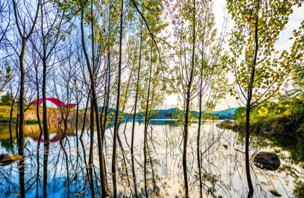 天蒙山中的冬日美景,一刻也不容錯過! 天蒙山中的冬日美景,一刻也不容錯過!