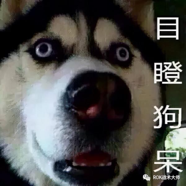 萬國覺醒丨圖拉真實測