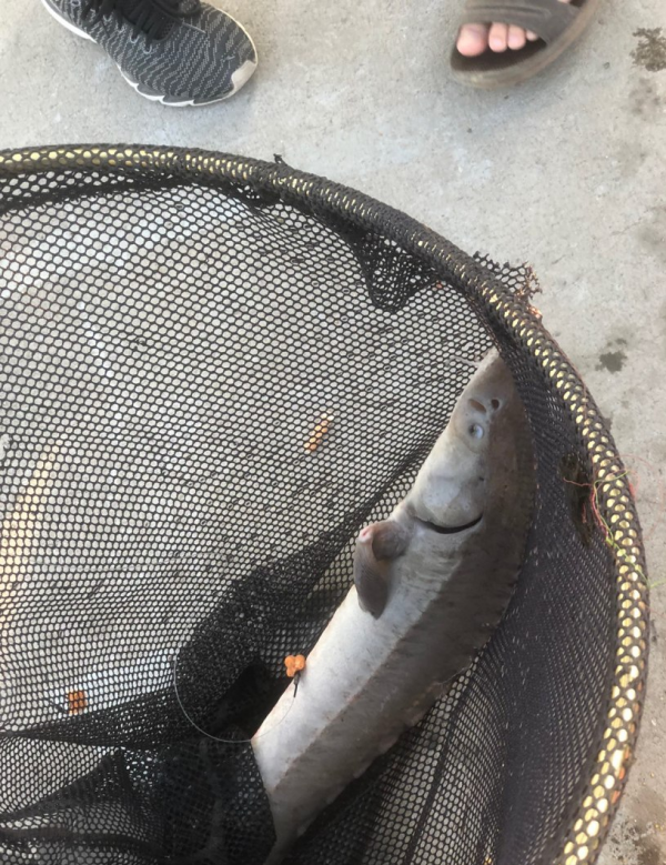 帶著長安CS75Plus釣魚 帶著長安CS75Plus釣魚