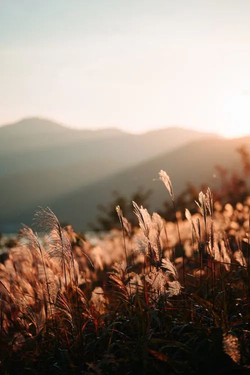 夜讀 | 內心積極向上,生活才會光芒萬丈 夜讀 | 內心積極向上,生活才會光芒萬丈