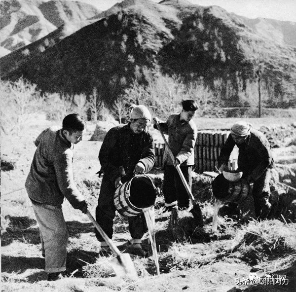 五十年代催人奮進的老照片：毛主席來到十三陵水庫參加義務勞動