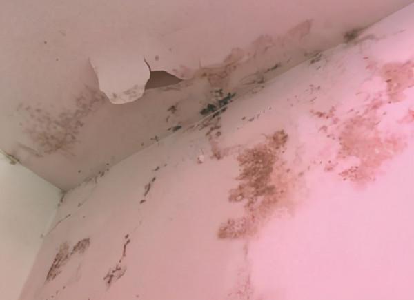 樓頂漏雨，物業大吼大叫死活不管，應該怎麼辦？