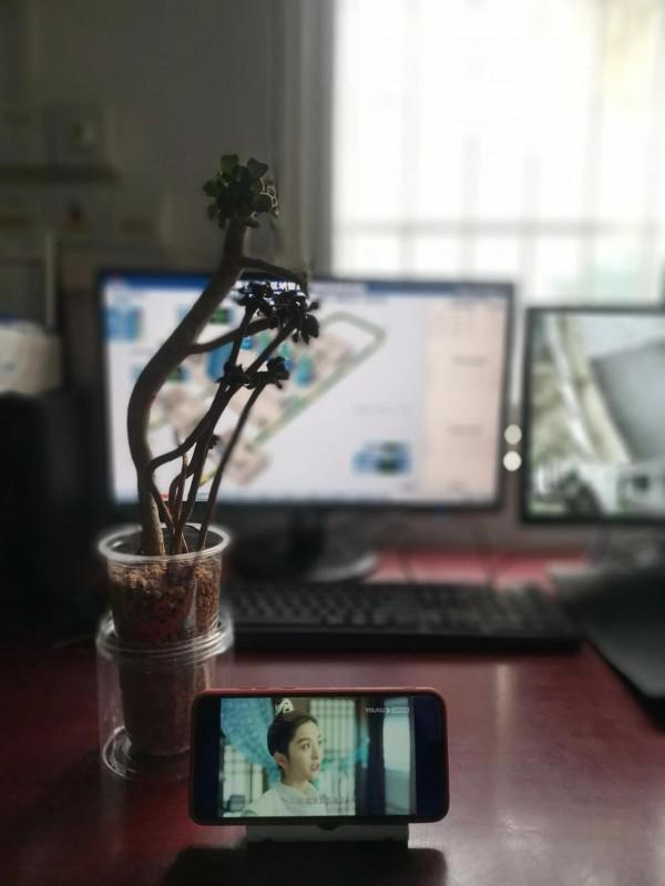 折騰的人生（一）