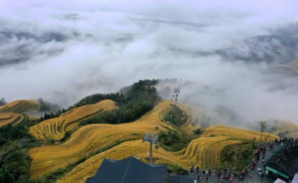 廣西龍脊梯田:雨後雲霧如畫 廣西龍脊梯田:雨後雲霧如畫
